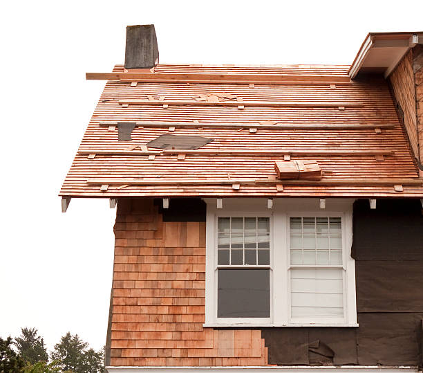 Trusted Wellington, CO Siding Installation & Repair Experts